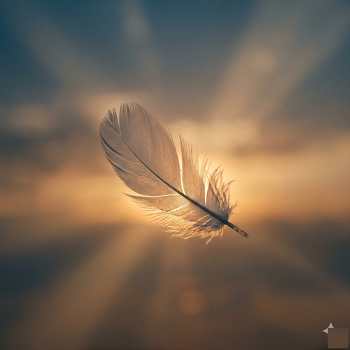 Detachment After Rejection — single white feather at golden hour