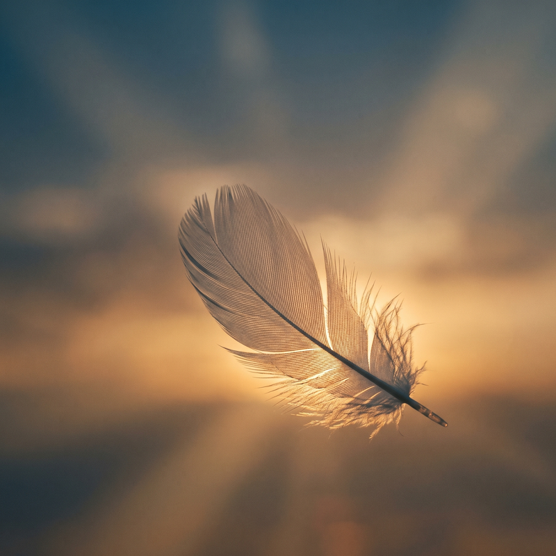 Detachment After Rejection